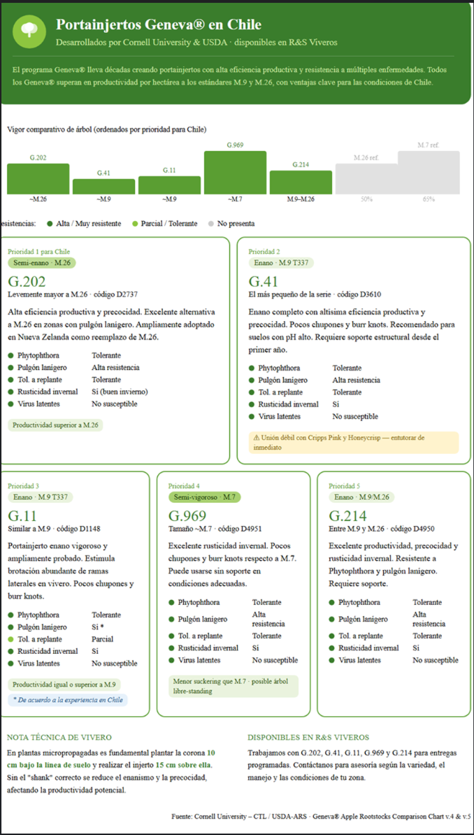 Infografía Portainjertos Geneva