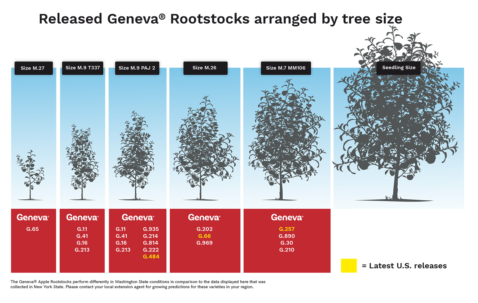 Cuadro Comparativo Portainjertos Geneva
